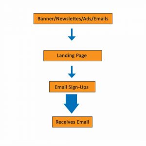 The Flow Of The Users Through Your Website