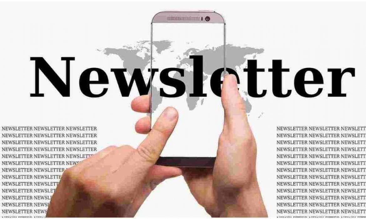 Newsletter: Definition, Purpose & Procedure