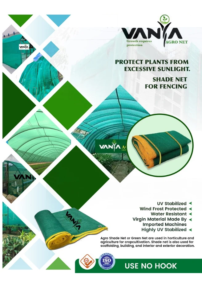 catalogue-design